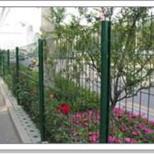 Wire mesh fence