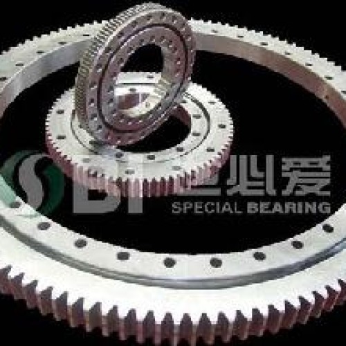 Rotary table bearing