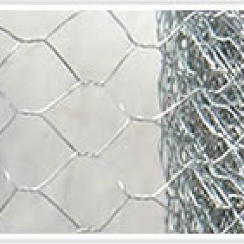 Hexagonal wire mesh