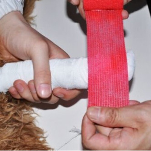 Veterinary bandage