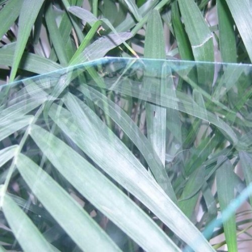 Clear sheet glass