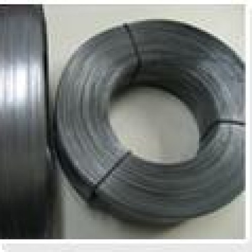 Flat wire