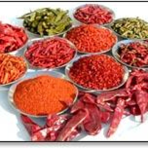 Sell any kinds of chilli