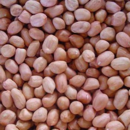 Peanut kernels