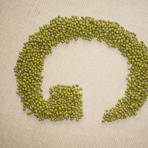 Mung bean