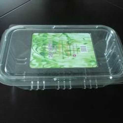 disposable vegetable container/Pack