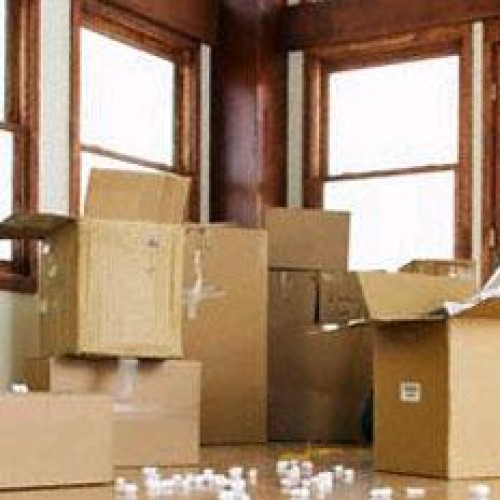 Packing & moving services