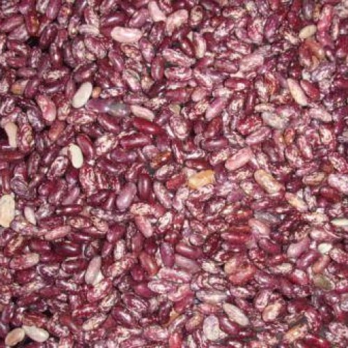 Green mung bean