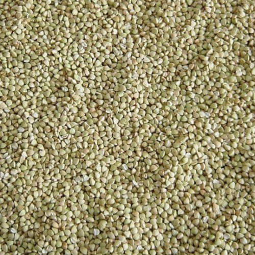 buckwheat kernel