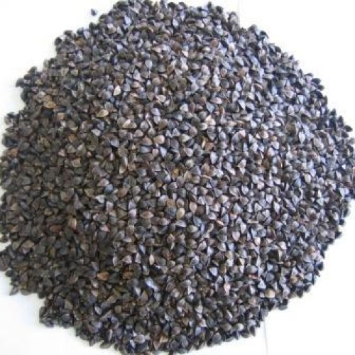 buckwheat