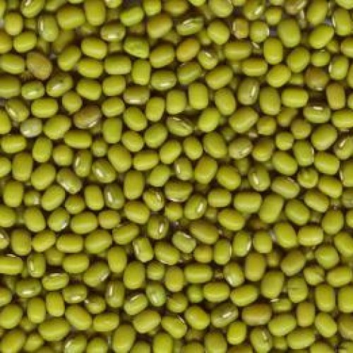 Green mung bean