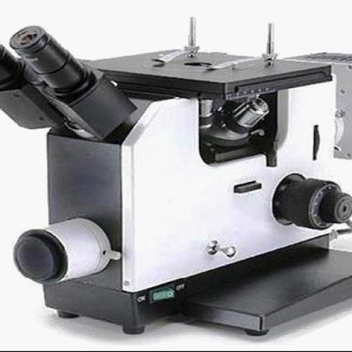 Upright metallurgical microscope