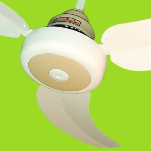 Ceiling fan