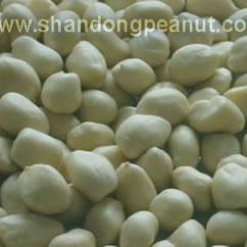 Blanched peanut kernels - spanish t