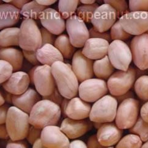 Peanut kernels - spanish type