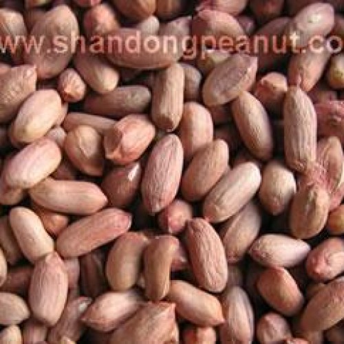 Peanut kernels - virginia type