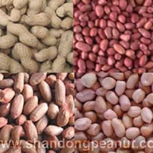 Peanut kernels - virginia type