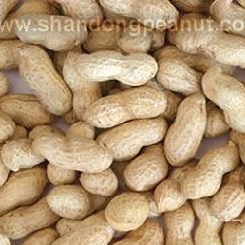 Peanut kernels - virginia type