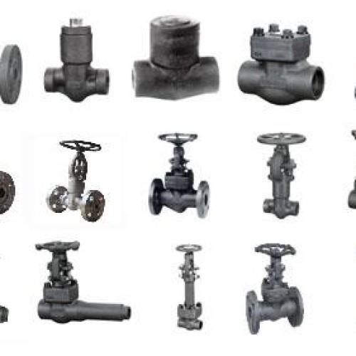 Forged steel valves