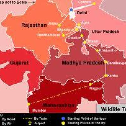 Wildlife travel packages