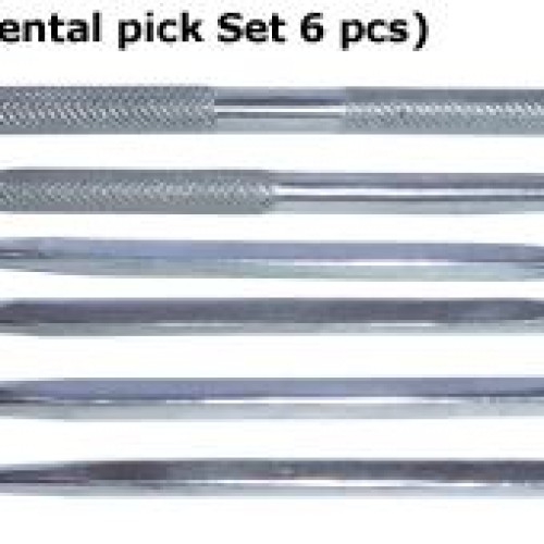 Dental probes/pick set