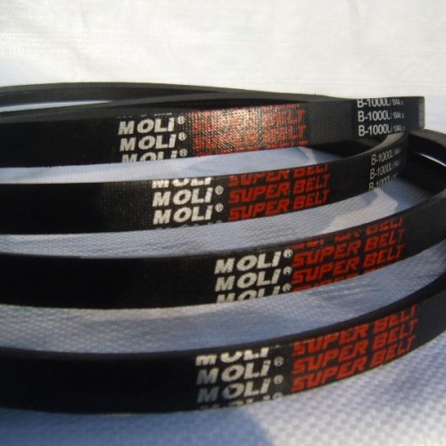 Moli v-belt v belt