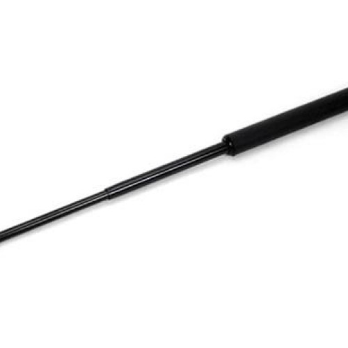 Stun baton(w020)