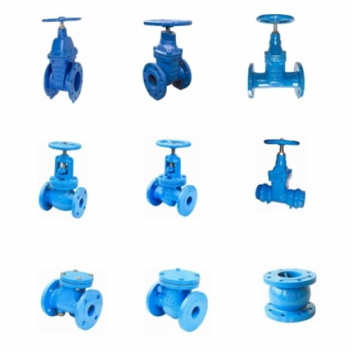 Ductile iron valves