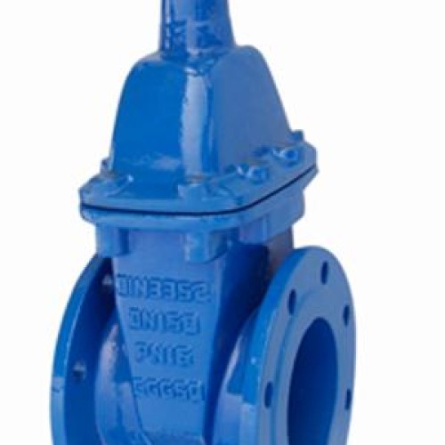 Ductile iron gate valves