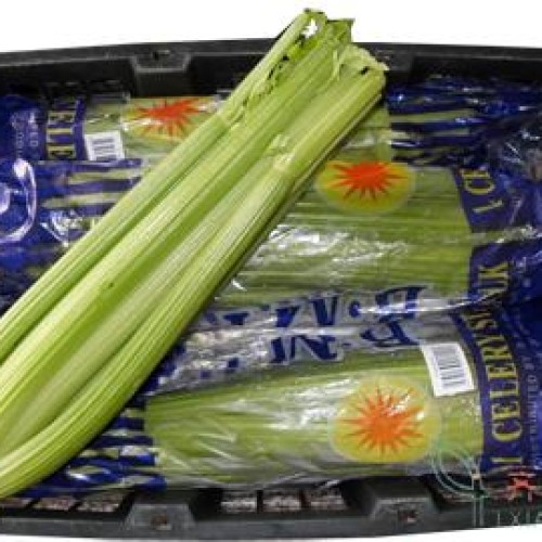 Fresh celery