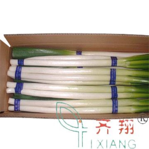 Rice stick noodles a733  hsing fu noodle (paper)250g