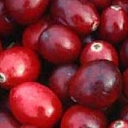 Cranberry extract / bilberry extract