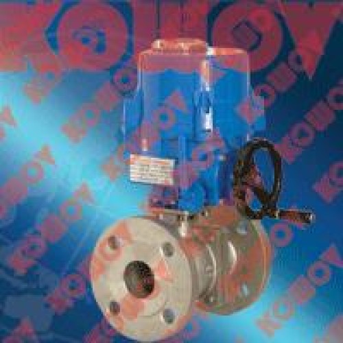 Electric operated control valves