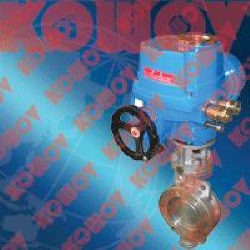 Pneumatic operated control valves