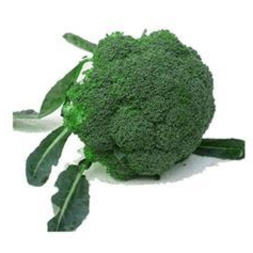 Frozen and fresh broccoli vegetable