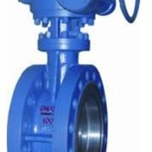 Lug type butterfly valve