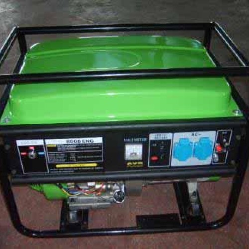 Biogas generator