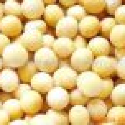 Soybean extract