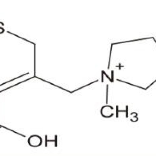 Cefepime