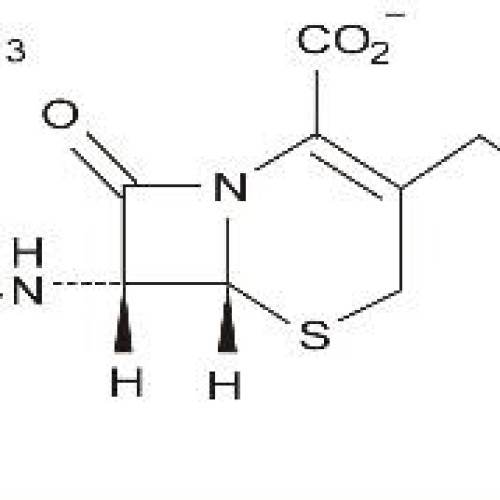 Hcl cefepime