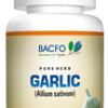 Allium sativum (Garlic)