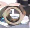 Hex Nuts