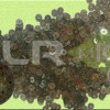 Mica Washer