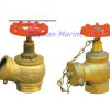 45ï¿½ï¿½n fire hydrant