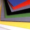 Plastic hollow sheet