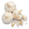Fresh Garlic