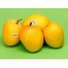Fresh Mango