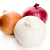 Fresh onion