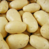 Fresh potato