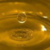 Sunflower oil